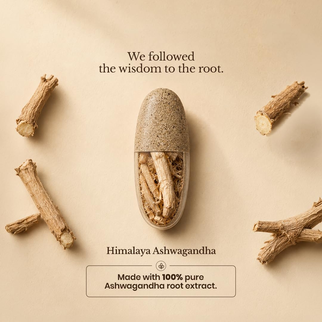 Himalaya Himalaya KSM-66 Ashwagandha, жевательные конфеты, 30 шт. Стресс и сон - Image 2