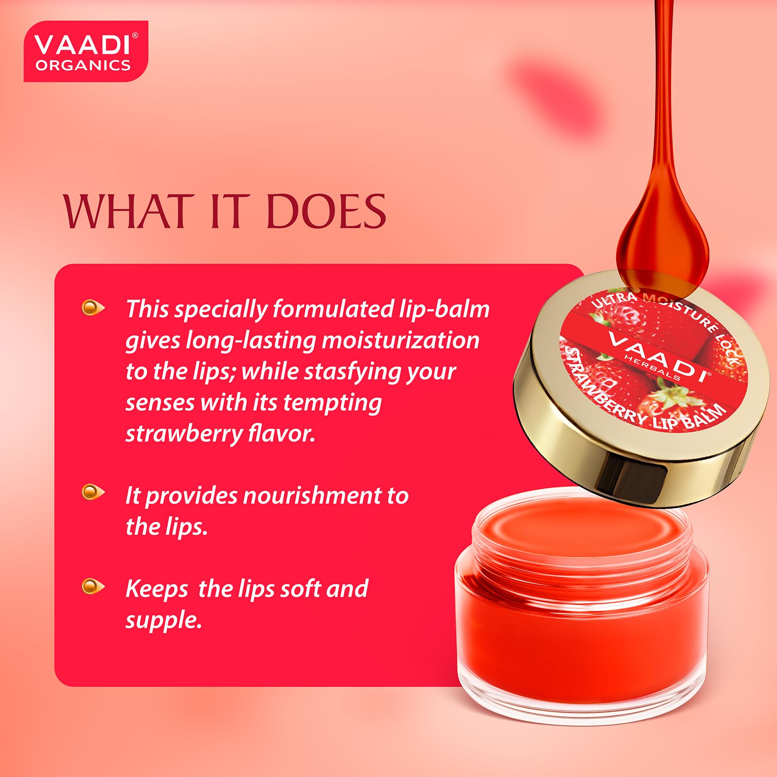 Vedashi The Man Company Nourishing Lip Balm 4 gm — The Man Company | Gallery Image 4