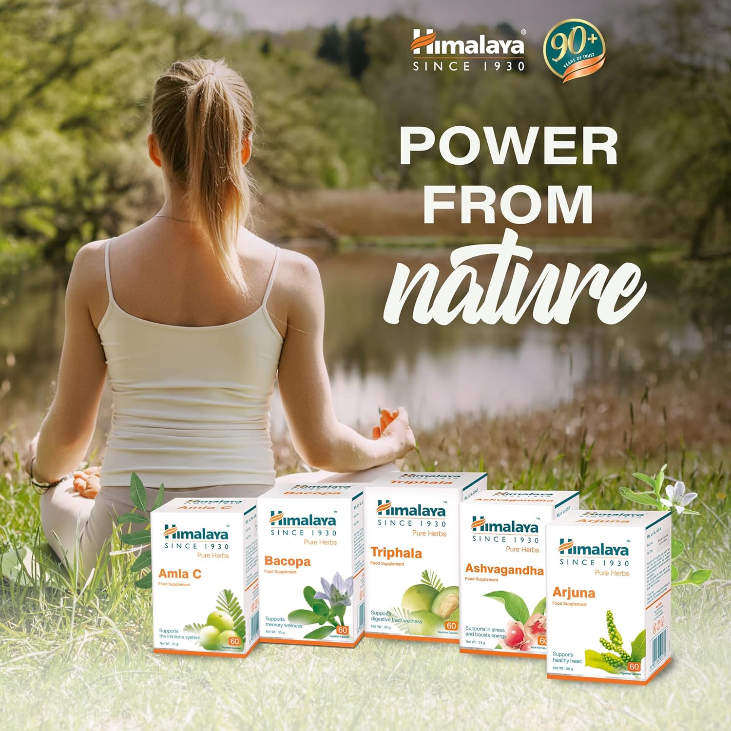 Himalaya Himalaya Wellness Pure Herbs Amalaki Immunity Wellness |Promotes health | -Pack of 60 Tablets Ayurvedic Classics - Image 4